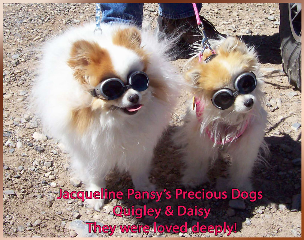 Picture of two poms wearing goggles, with text, ‘Jacqueline Pansy's Precious Dogs Quigley & Daisy.  They were loved deeply!’!  